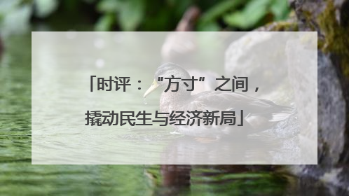 时评：“方寸”之间，撬动民生与经济新局