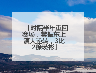 时隔半年重回赛场，樊振东上演大逆转，3比2徐瑛彬