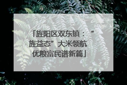 旌阳区双东镇：“旌益态”大米领航 优粮富民谱新篇