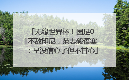 无缘世界杯！国足0-1不敌印尼，范志毅语塞：早没信心了但不甘心