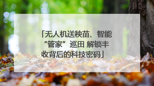 无人机送秧苗、智能“管家”巡田 解锁丰收背后的科技密码