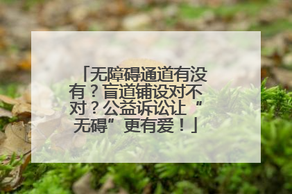 无障碍通道有没有？盲道铺设对不对？公益诉讼让“无碍”更有爱！