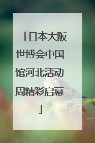 日本大阪世博会中国馆河北活动周精彩启幕