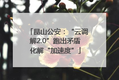 昆山公安：“云调解2.0”跑出矛盾化解“加速度”