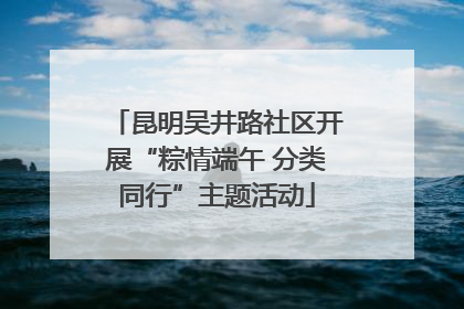 昆明吴井路社区开展“粽情端午 分类同行”主题活动