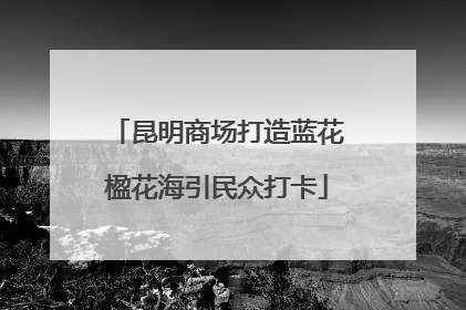 昆明商场打造蓝花楹花海引民众打卡