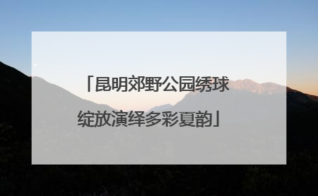 昆明郊野公园绣球绽放演绎多彩夏韵