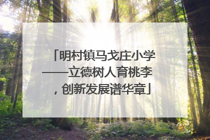 明村镇马戈庄小学——立德树人育桃李，创新发展谱华章