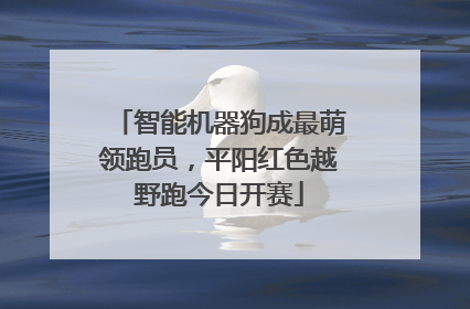 智能机器狗成最萌领跑员，平阳红色越野跑今日开赛