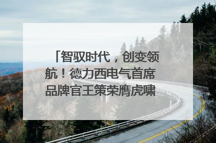 智驭时代，创变领航！德力西电气首席品牌官王策荣膺虎啸奖年度品牌人物