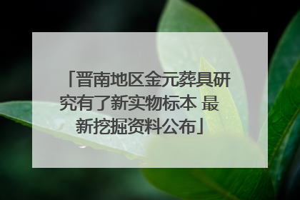 晋南地区金元葬具研究有了新实物标本 最新挖掘资料公布