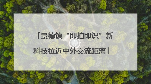 景德镇“即拍即识”新科技拉近中外交流距离