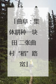 曲阜：集体耕种一块田 二张曲村“稻”路宽