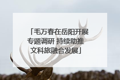 毛万春在岳阳开展专题调研 持续助推文科旅融合发展