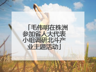 毛伟明在株洲参加省人大代表小组调研北斗产业主题活动