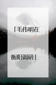 毛伟明在衡阳调研