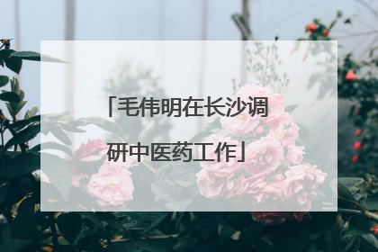 毛伟明在长沙调研中医药工作