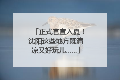 正式官宣入夏！沈阳这些地方既清凉又好玩儿……