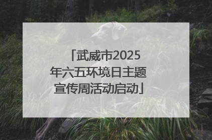 武威市2025年六五环境日主题宣传周活动启动