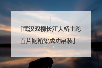 武汉双柳长江大桥主跨首片钢箱梁成功吊装