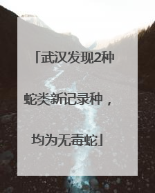 武汉发现2种蛇类新记录种，均为无毒蛇