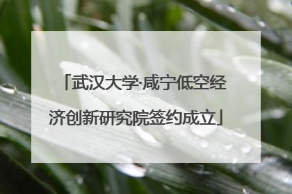 武汉大学·咸宁低空经济创新研究院签约成立
