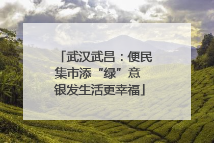 武汉武昌：便民集市添“绿”意 银发生活更幸福