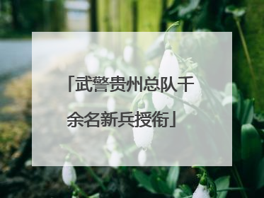 武警贵州总队千余名新兵授衔