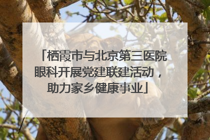 栖霞市与北京第三医院眼科开展党建联建活动，助力家乡健康事业
