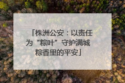 株洲公安：以责任为“粽叶”守护满城粽香里的平安
