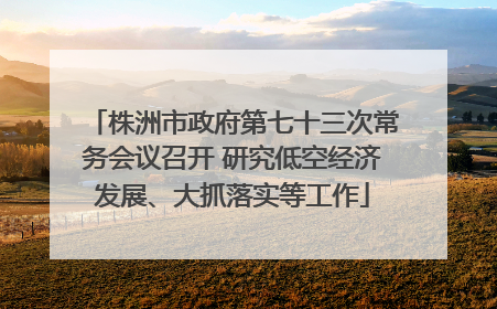 株洲市政府第七十三次常务会议召开 研究低空经济发展、大抓落实等工作