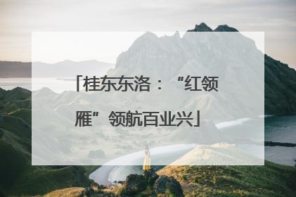 桂东东洛：“红领雁”领航百业兴