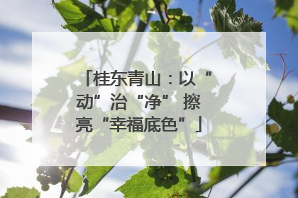 桂东青山：以“动”治“净” 擦亮“幸福底色”