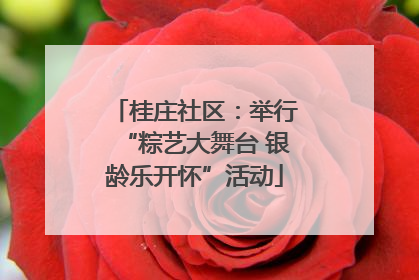 桂庄社区：举行“粽艺大舞台 银龄乐开怀”活动
