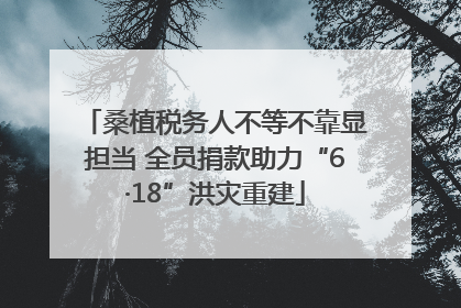 桑植税务人不等不靠显担当 全员捐款助力“6·18”洪灾重建