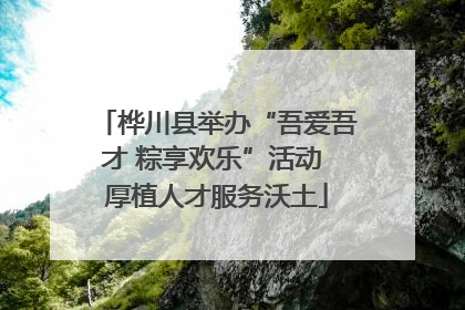 桦川县举办“吾爱吾才 粽享欢乐”活动 厚植人才服务沃土