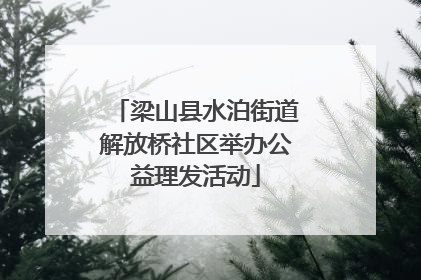 梁山县水泊街道解放桥社区举办公益理发活动