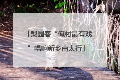 梨园春“俺村最有戏”唱响新乡南太行