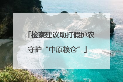 检察建议助打假护农守护“中原粮仓”