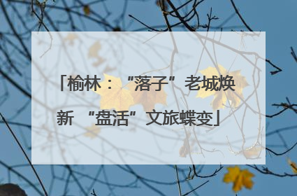 榆林：“落子”老城焕新 “盘活”文旅蝶变