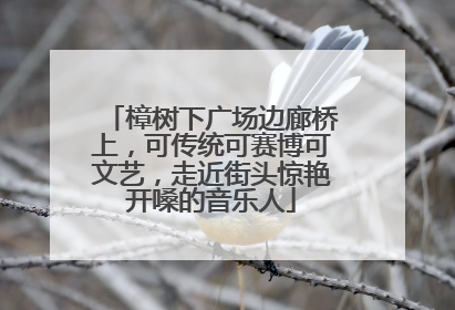 樟树下广场边廊桥上，可传统可赛博可文艺，走近街头惊艳开嗓的音乐人