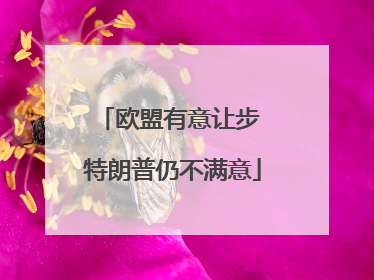 欧盟有意让步 特朗普仍不满意