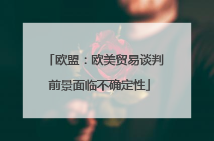欧盟：欧美贸易谈判前景面临不确定性