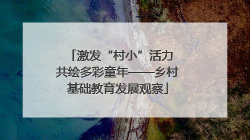 激发“村小”活力 共绘多彩童年——乡村基础教育发展观察