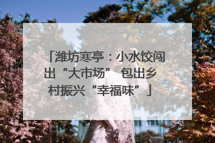 潍坊寒亭：小水饺闯出“大市场” 包出乡村振兴“幸福味”