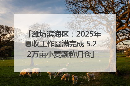 潍坊滨海区：2025年夏收工作圆满完成 5.22万亩小麦颗粒归仓