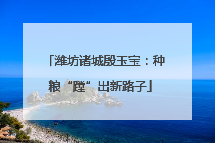 潍坊诸城殷玉宝：种粮“蹚”出新路子