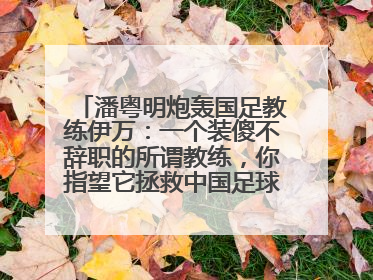 潘粤明炮轰国足教练伊万：一个装傻不辞职的所谓教练，你指望它拯救中国足球！此前曾多次发文评价国足