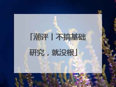 潮评丨不搞基础研究,就没根
