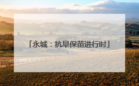 永城：抗旱保苗进行时